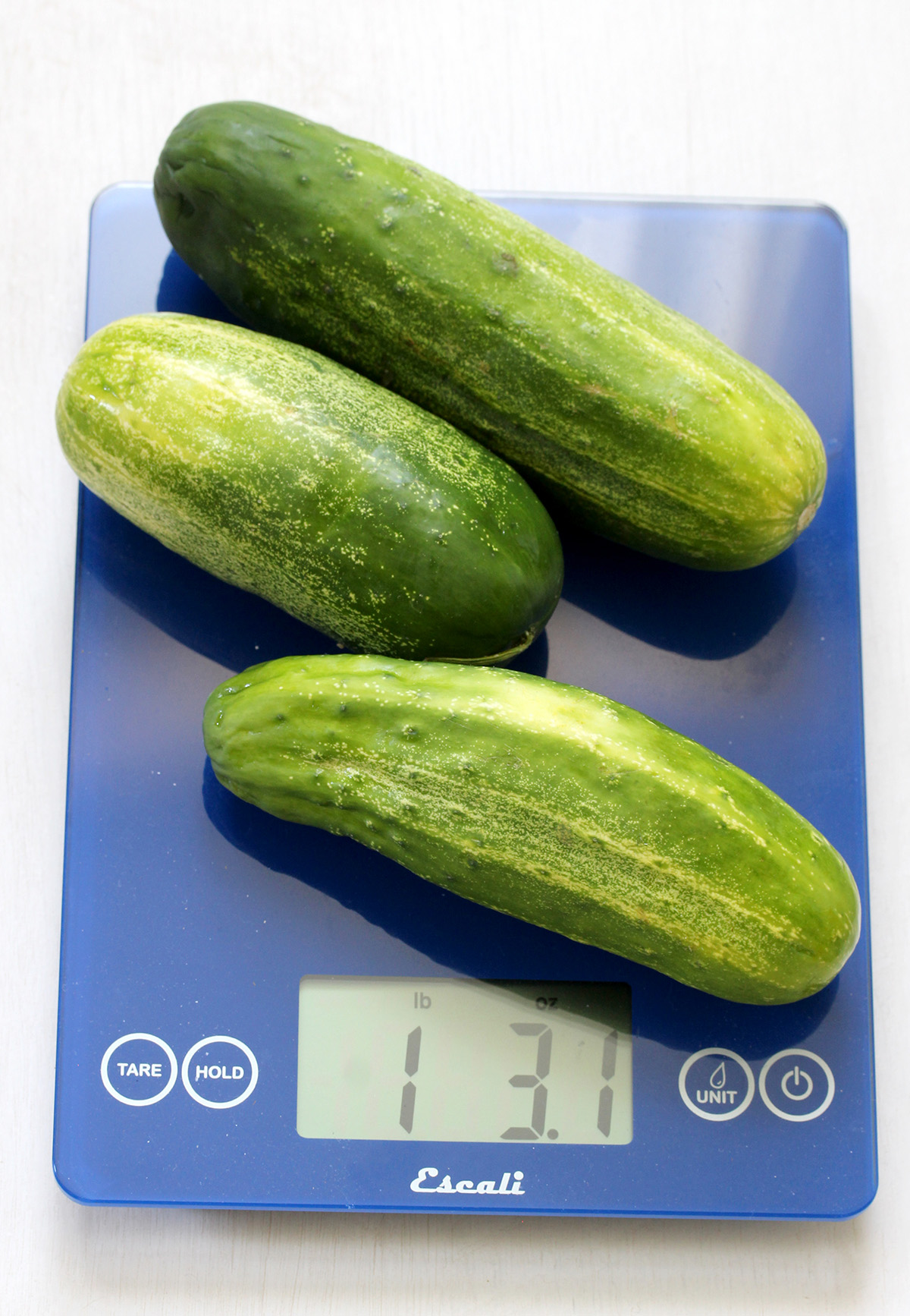 Kirby cucumbers for making low sodium dill pickles