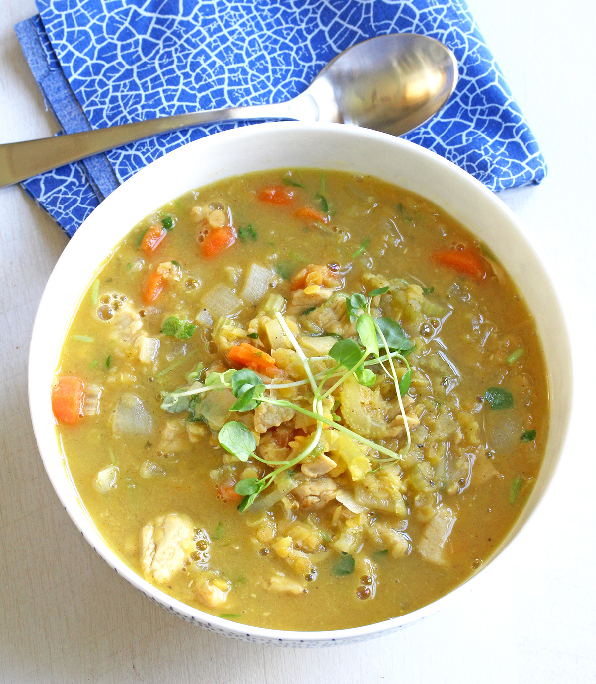 Low sodium chicken and red lentil stew in a bowl