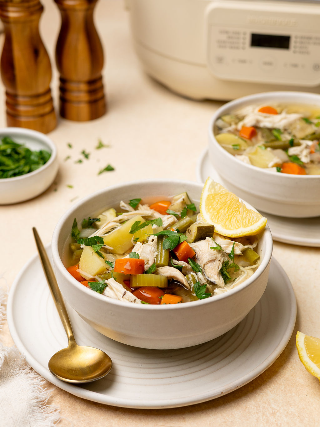 Two servings of chicken and vegetable soup in front of a slow cooker.