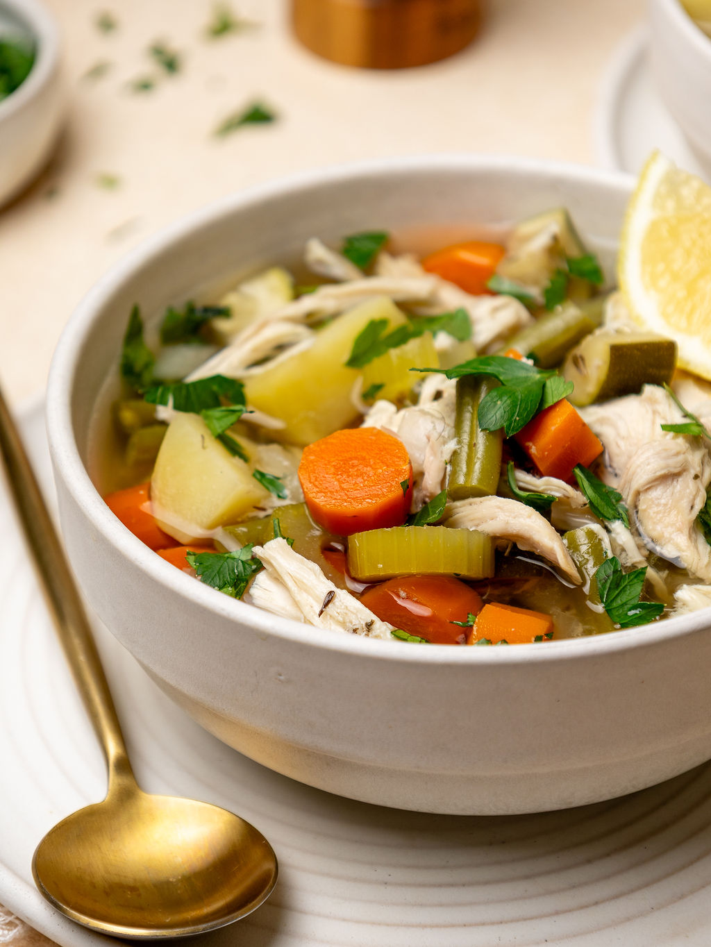 Close-up of chicken and vegetable soup.